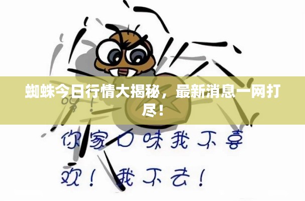 蜘蛛今日行情大揭秘，最新消息一网打尽！