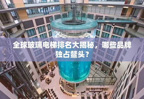 飞扬拨扈 第3页