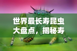 耳目闭塞 第3页
