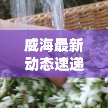 千里迢迢 第3页