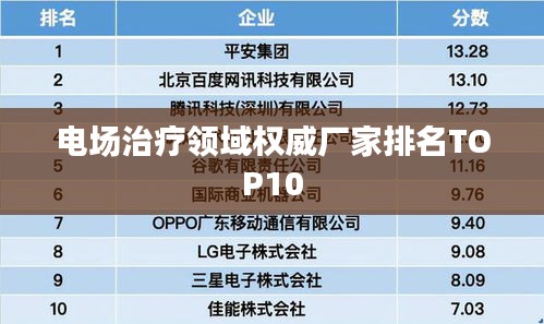 电场治疗领域权威厂家排名TOP10