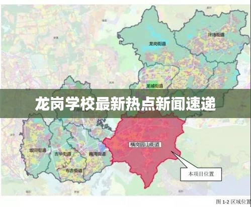 龙岗学校最新热点新闻速递