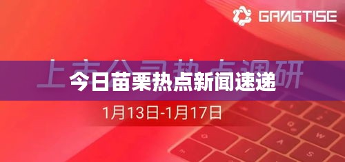 今日苗栗热点新闻速递