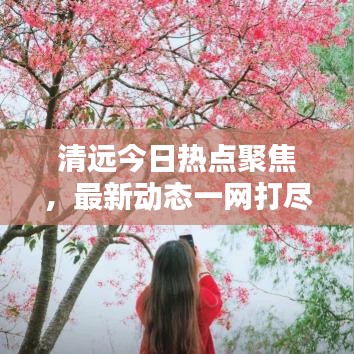 清远今日热点聚焦，最新动态一网打尽