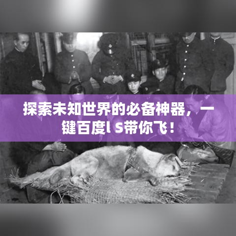 探索未知世界的必备神器，一键百度l S带你飞！