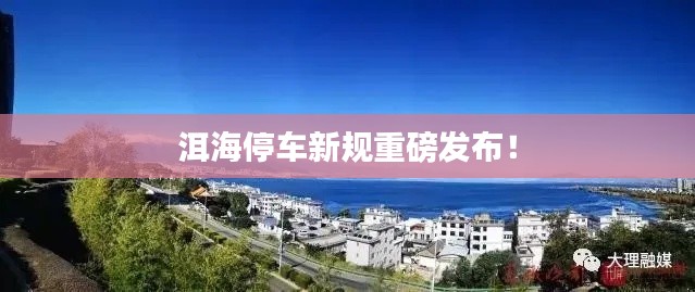 洱海停车新规重磅发布！