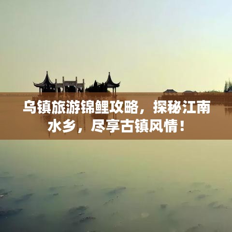 乌镇旅游锦鲤攻略，探秘江南水乡，尽享古镇风情！