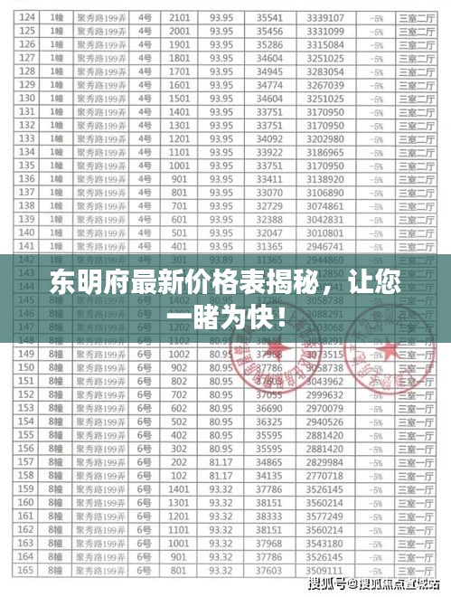 东明府最新价格表揭秘，让您一睹为快！
