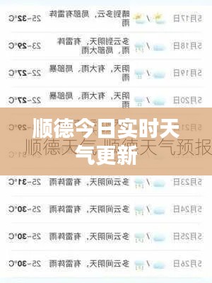 顺德今日实时天气更新