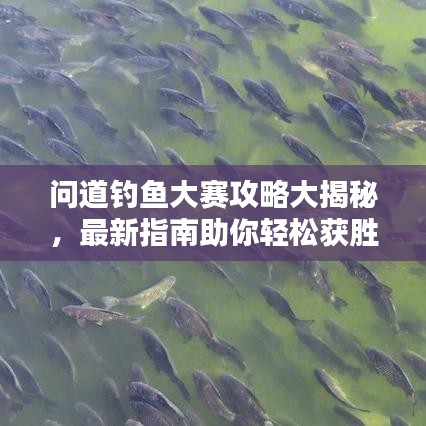 问道钓鱼大赛攻略大揭秘，最新指南助你轻松获胜！
