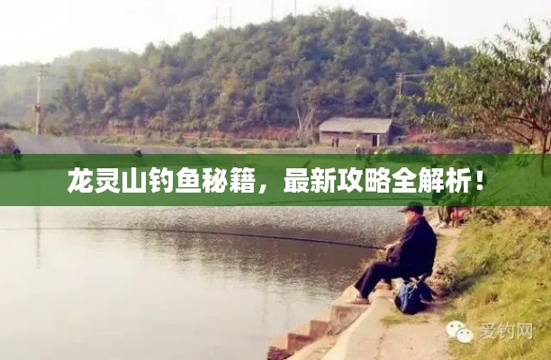 龙灵山钓鱼秘籍，最新攻略全解析！