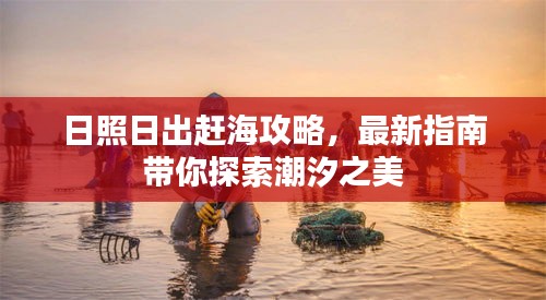 日照日出赶海攻略，最新指南带你探索潮汐之美