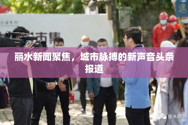 丽水新闻聚焦，城市脉搏的新声音头条报道