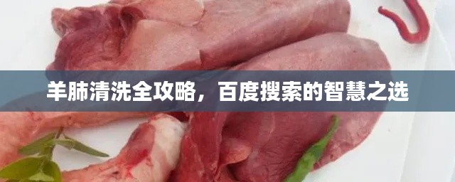 井底之蛙 第3页