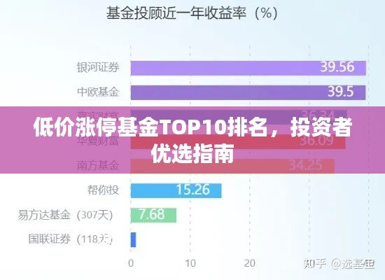 低价涨停基金TOP10排名，投资者优选指南