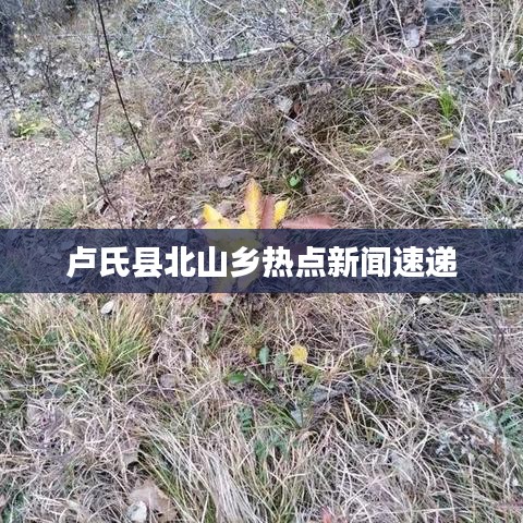 卢氏县北山乡热点新闻速递
