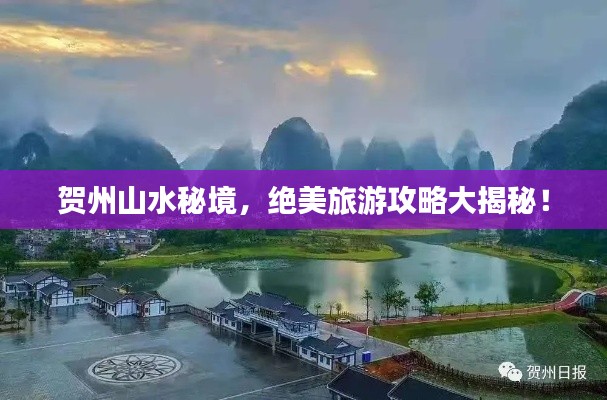 惊弓之鸟 第3页