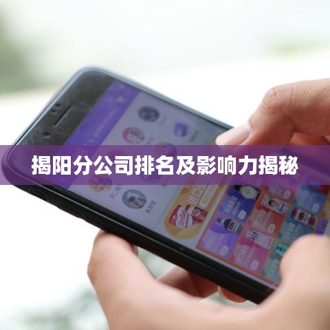 揭阳分公司排名及影响力揭秘