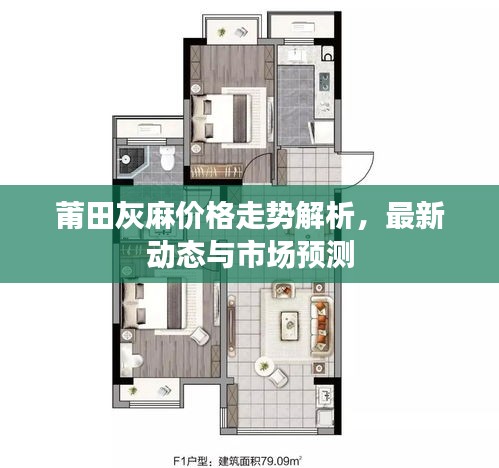 莆田灰麻价格走势解析，最新动态与市场预测