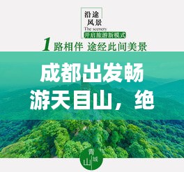 成都出发畅游天目山，绝美旅游攻略全解析！