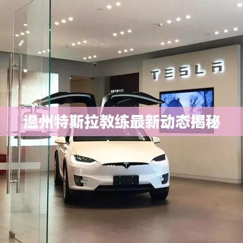温州特斯拉教练最新动态揭秘