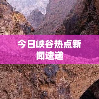 今日峡谷热点新闻速递