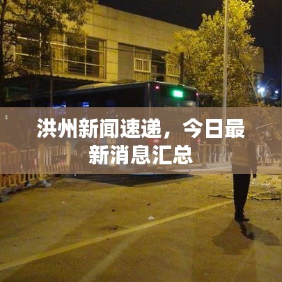 洪州新闻速递，今日最新消息汇总