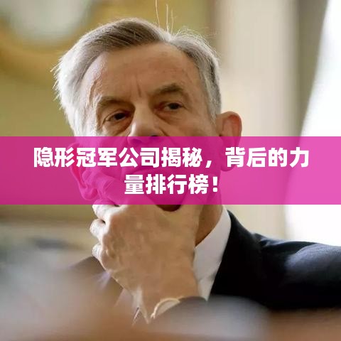 隐形冠军公司揭秘，背后的力量排行榜！