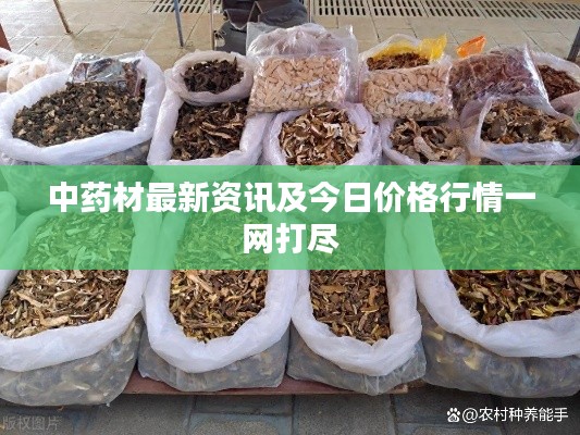 中药材最新资讯及今日价格行情一网打尽