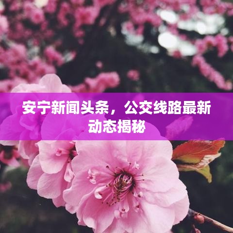无边无际 第3页