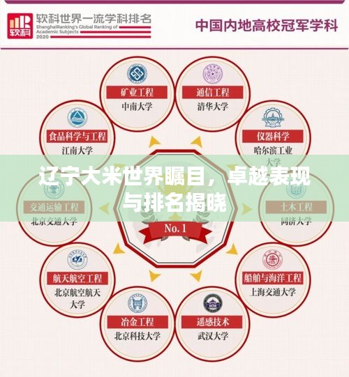 辽宁大米世界瞩目，卓越表现与排名揭晓