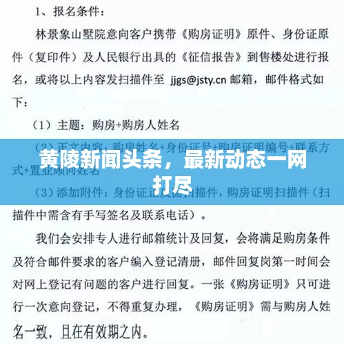 黄陵新闻头条，最新动态一网打尽