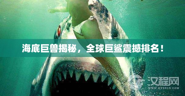 海底巨兽揭秘，全球巨鲨震撼排名！