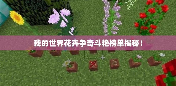 我的世界花卉争奇斗艳榜单揭秘！