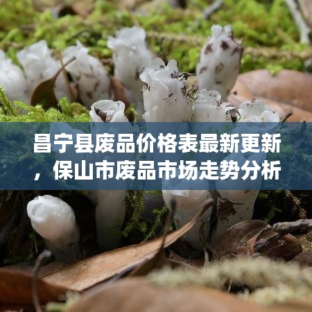 飞流直下 第3页