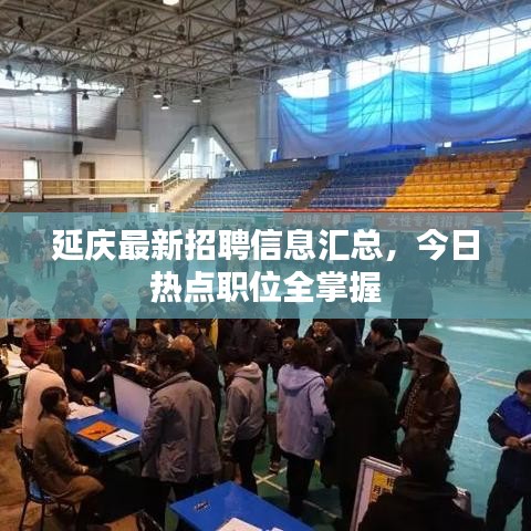 延庆最新招聘信息汇总，今日热点职位全掌握