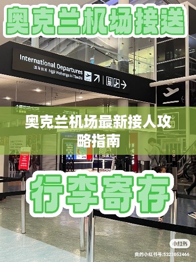 奥克兰机场最新接人攻略指南