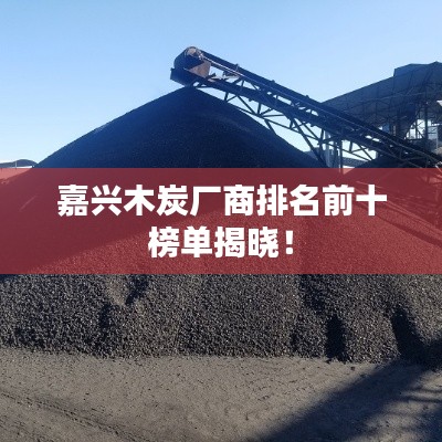 嘉兴木炭厂商排名前十榜单揭晓！