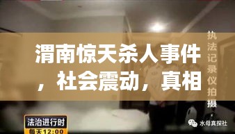 鸟入樊笼 第3页