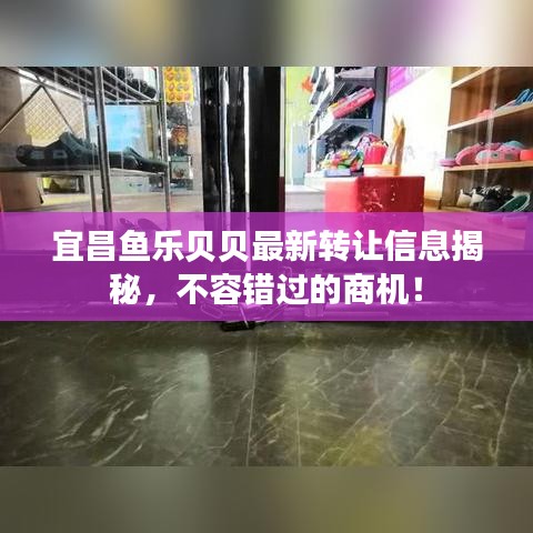 宜昌鱼乐贝贝最新转让信息揭秘，不容错过的商机！