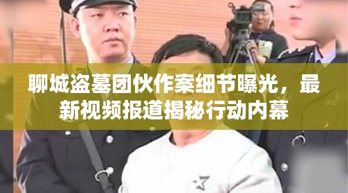 聊城盗墓团伙作案细节曝光，最新视频报道揭秘行动内幕