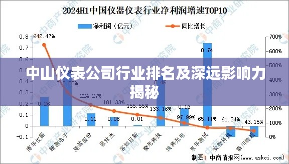 中山仪表公司行业排名及深远影响力揭秘