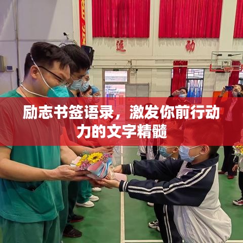 励志书签语录，激发你前行动力的文字精髓