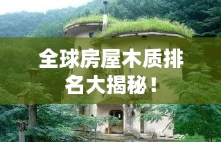 全球房屋木质排名大揭秘！