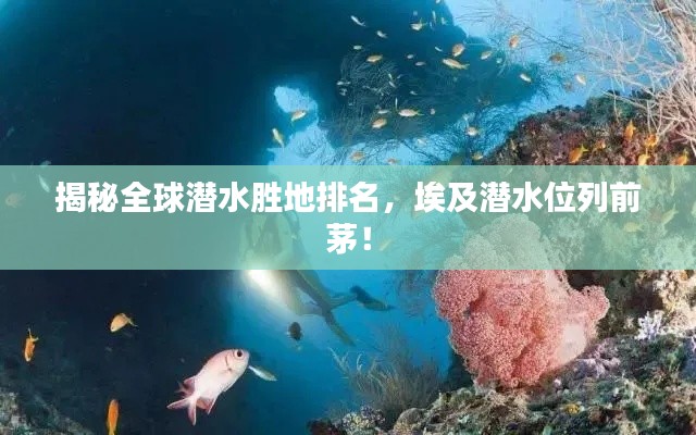 揭秘全球潜水胜地排名，埃及潜水位列前茅！