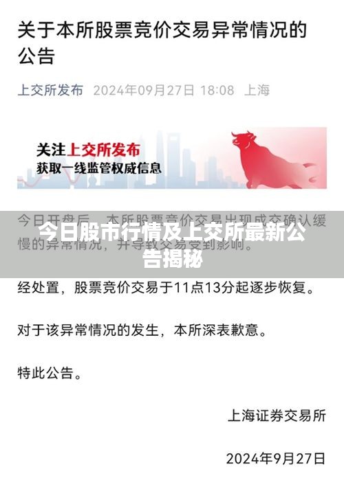 今日股市行情及上交所最新公告揭秘