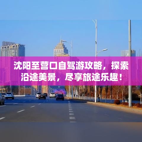 沈阳至营口自驾游攻略，探索沿途美景，尽享旅途乐趣！