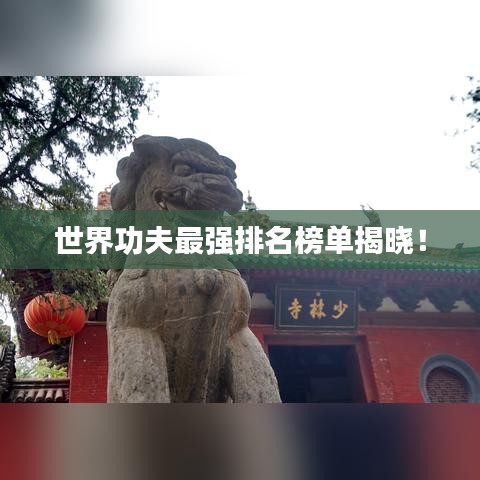 世界功夫最强排名榜单揭晓！