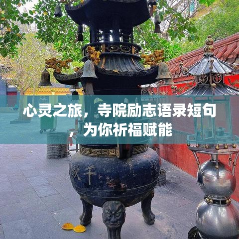 一花独放 第3页