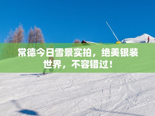 常德今日雪景实拍，绝美银装世界，不容错过！